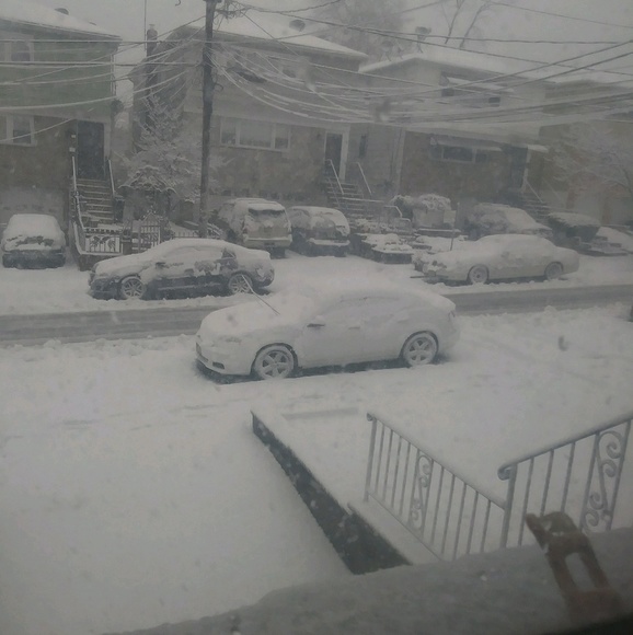 Meet your Posher, Trilly - Picture 1 of 1